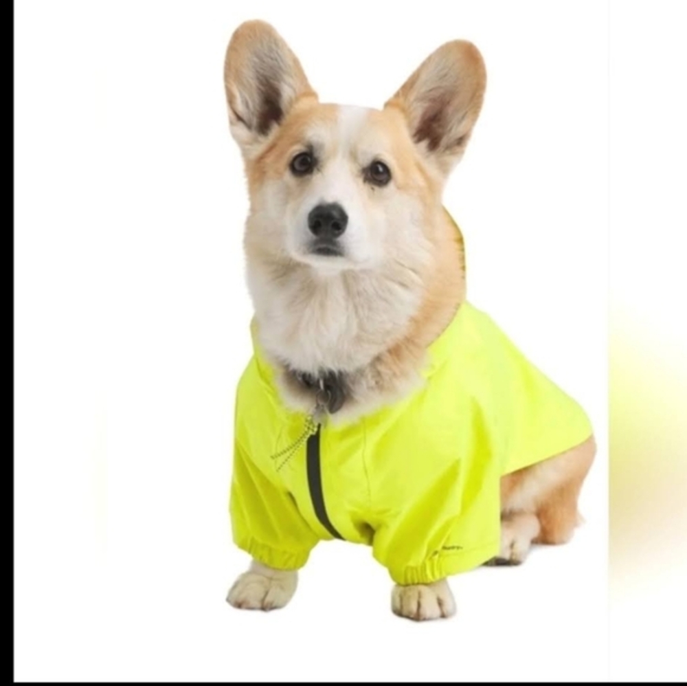 Backcountry x Petco Hooded Dog Rain Jacket NWT